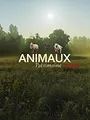 Animaux, patrimoine oublié !