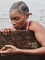 Plongée au coeur du delta du Congo