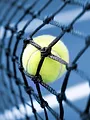 Sporza: European Open