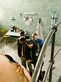 Hubert und Staller S7 E16