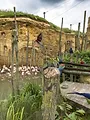 Zoo : le défi de demain