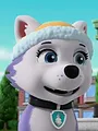 Pat' Patrouille S8 E9
