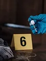 Faites entrer l'accusé