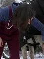L'incroyable Dr Pol