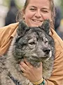 Nos très chers animaux