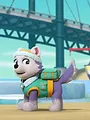 Paw Patrol, la Pat'Patrouille S10 E4