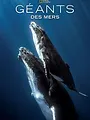 Géants des mers