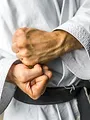 MMA, l'amour est dans la cage