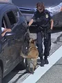 Douanes sous haute surveillance: Etats-Unis