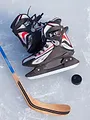 Detroit Red Wings / New York Rangers