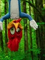 Woody Woodpecker