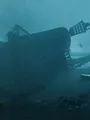 Trésors sous les mers