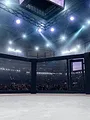 MMA : UFC Rétro 2025