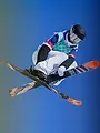 Ski acrobatique. Short-track