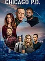 Chicago Police Department S8 E4