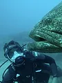 Pêche XXL