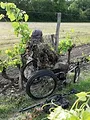 Chasseur malgré tout