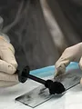 Section scientifique