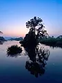 Laos, l'éloge de la lenteur
