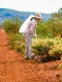 Durch die Rote Wüste Westaustraliens - Karijini Nationalpark