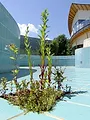 Badeschluss - Das Ende der Schwimmbäder