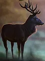 En quête des cerfs trophées