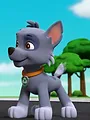 Paw Patrol S4 E5
