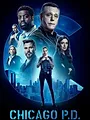 Chicago Police Department S2 E7