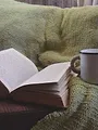 La Chronique Littéraire