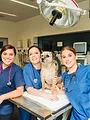 Tierärztin 24/7: Große Sorgen um Claudette