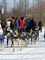 Into the Wild: Alaska