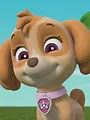 Paw Patrol S10 E25