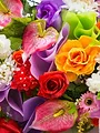 Bloemencorso 2026