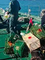 Espagne : côtes sous surveillance