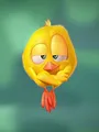 Where's Chicky? S1 E4
