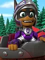Pat' Patrouille S8 E19