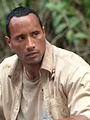 Bienvenue dans la jungle