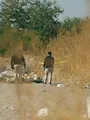 Drugsdelta