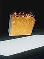 Disaster Autopsy