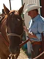 La loi du Texas