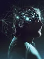 Alien Theory