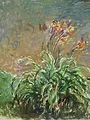 Close Up: Monet en de Waterlelies