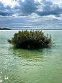 Voyage en eaux calmes