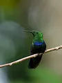 Guadeloupe, des cimes à l'océan