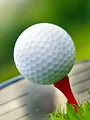 Utah Championship