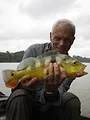 River Monsters