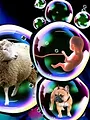 Dolly : La révolution du clonage et ses enjeux