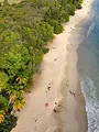 Trésors des Petites Antilles