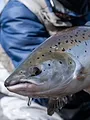 La Globe-Trotteuse Chasse & Pêche