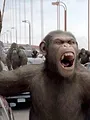 La planète des singes : les origines